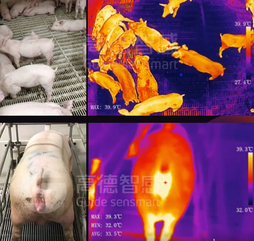 企業微信截圖_17374452949215.png