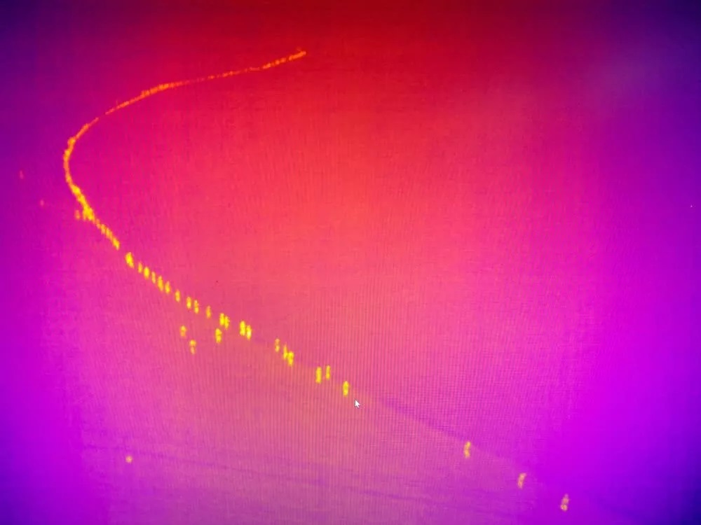5f1a7720aedde.jpg 3.jpg