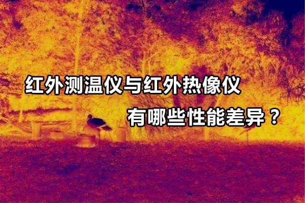 紅外測(cè)溫儀與紅外熱像儀有哪些性能差異？